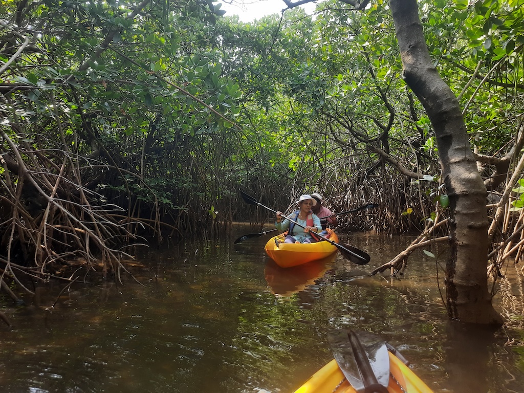 Kayaking in Achara Malvan